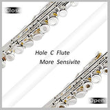 EastRock Open/Closed Hole Flutes C 16 Key for Beginner, Kids, Student -Silver Flute with Case Stand and Cleaning kit