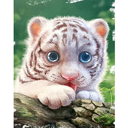 DIY 5D Diamond Painting Kits for Adults, Full Drill Rhinestone Embroidery Paint for Kids, Home Wall Decor Cross Stitch Arts Number by Aunkun (Cute Little White Tiger 11.8x15.7in)