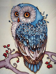 AIRDEA DIY 5D Diamond Painting Kit, Full Diamond Owl Embroidery Rhinestone Cross Stitch Arts Craft Supply for Home Wall Decor