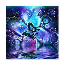 DIY 5D Diamond Painting Kits Full Drill, Astory Rhinestone Crystal Embroidery Pictures Cross Stitch for Home Room Decoration Butterfly 3030 cm (11.811.8inch)