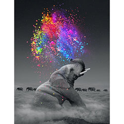 Artoree DIY 5D Diamond Painting by Number Kit for Adult, Full Drill Diamond Embroidery Kit Home Wall Decor-14x20" Elephant