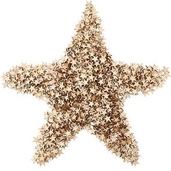 1000 Pieces Star Shape Unfinished Wood Pieces Blank Wood Pieces Wooden Cutouts Ornaments for Craft Project and Decoration (3/4 Inch)