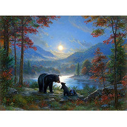 5D Diamond Painting Kits for Adults Diamond Painting by Number Kits Adults Full Frill Arts Craft Wall Decor Forest Black Bear 15.7x11.8in 1 Pack by Cenda