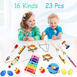Toddler Musical Instruments - iBaseToy 23Pcs 16Types Wooden Percussion Instruments Tambourine Xylophone Toys for Kids Preschool Education, Early Learning Musical Toys for Boys Girls with Storage bag