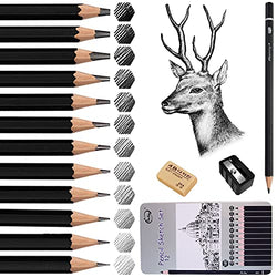 Sketch Pencil Set, 12Pcs Professional Drawing Artist Pencils set Drawing Pencils 14B 12B 10B 8B 6B 4B 2B B HB H 2H 4H  for Kids and Adults