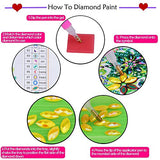 Alloyseed Diamond Painting Kits for Adults - 5D Diamond Painting Special Shaped Partial Drill, Girl on Moon Diamond Art for Bedroom, Living Room or Home Wall Decor 30x40cm/12x16inch