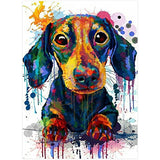 Wonmon 5D DIY Diamond Painting Kits for Adults Kids, Dachshund Colourful Cute Dog Full Round Drill Diamond Painting Art, Paint by Numbers Diamond Dots with Tolls for Gifts Home Wall Decor (12x16in)