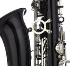 Glory Black/Silver keys E Flat Alto Saxophone with 11reeds,8 Pads cushions,case,carekit-More Colors with Silver or Gold keys