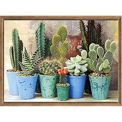 Bimkole 5D Diamond Painting Kits Potted Plant Cactus, Full Drill DIY Rhinestone Embroidery Set Paint with Diamonds Art by Number Kits Cross Stitch Home Wall Craft Decoration (12x16inch)