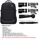 Godox AD300 Pro AD300Pro Photography Studio Kit, 300W 2.4G TTL 1/8000 HSS Photography Lighting Kit, 0.01-1.5S Recycle Time, 320 Full Power Dual Studio Lighting Kit, Expand Your Capability with Ease