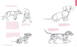How to Draw Dogs and Puppies: A Complete Guide for Beginners