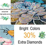 Diamond Embroidery Large DIY 5D Diamond Painting Kits Waterfall Book Castle (40x50cm/16x20in) for Kids Adults Full Drill Rhinestone Embroidery Diamond Art Cross Stitch for Wall Decoration Gift W360