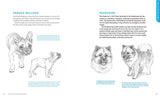 How to Draw Dogs and Puppies: A Complete Guide for Beginners