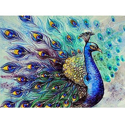MXJSUA DIY 5D Diamond Painting by Number Kits Round Drill Rhinestone Pictures Arts Craft Home Wall Decor 12x16In Peacock