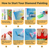 TISHIRON Cosmic Marbles Diamon Painting Kits Beginners 5D Round Full Drill Diamond Art Kits Diamond Painting Kits Picture Art Gem Painting for Home Wall Decor (12inx16in)