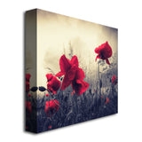 Red For Love by Philippe Sainte-Laudy, 18x18-Inch Canvas Wall Art