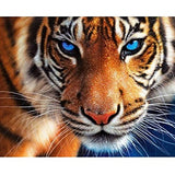 DIY 5D Diamond Painting Kit by Number Kit, Tiger Full Drill Embroidery Cross Stitch Arts Craft for Home Wall Decor 11.8x13.8 inch