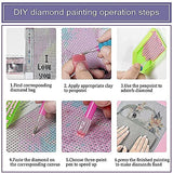 Diamond Painting Kits for Adults,Diamond Art for Adults DIY 5D Dimond Pantings Round Full Drill Painting with Diamonds Kits Diamond Dots Gem Art Halloween Wall Decor 12X 20 inch