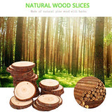 Natural Wood Slices Craft Wood kit Unfinished Predrilled with Hole Wooden Circles Great for Arts