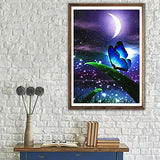 Diamond Painting, 5D Round Full Drill Diamond Art Gem Kits for Adults Kids, Large Diamond Dots Arts Craft for Home Wall Decor 16 x 20 Inch (Moon & Butterfly)