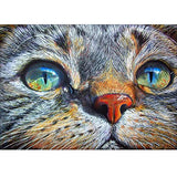 MXJSUA 5D Diamond Painting Full Round Drill Kits for Adults Pasted Arts Craft for Home Wall Decor Blue-Eyed Cat 12x16in