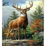 5D Diamond Painting Kits for Adults Full Drill DIY Deer Diamond Paintings Art Crystal Rhinestone Embroidery Pictures Cross Stitch Arts Craft for Home Wall Decor Gifts (Deer,17.7X21.7 inches)