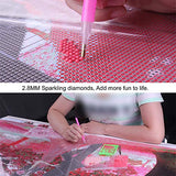 SuperDecor Diamond Painting DIY 5D Diamond Painting Full Drills Magic Cube Diamond Painting for Adults or Kids, Flowers Butterfly 30x40cm