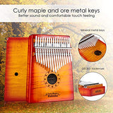 GECKO Kalimba 17 Key Thumb Piano with Hardshell Case Learning Book Tuning Hammer for Kids Adult Beginners C Tone Tuned (Solid Curly Maple)