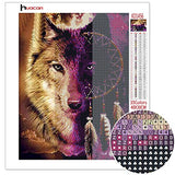 Huacan 5D Diamond Painting Kits Wolf for Adults Square Bead Full Drill DIY Paint with Diamonds Art Animal Dreamcatcher Canvas Resin Rhinestone Arts Crafts 30x40cm/11.8x15.7in