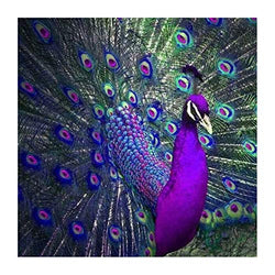 Better Selection DIY 5D Diamond Painting by Number Kit for Adult, Full Drill Diamond Embroidery Dotz Kit Home Wall Decor-13.78 x 13.78(Peacock)