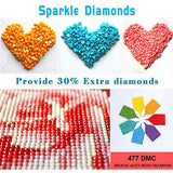Diamond Painting Kits for Adults Kids, 5D DIY Girl Diamond Art Accessories with Round Full Drill for Home Wall Decor - 11.8×15.7Inches