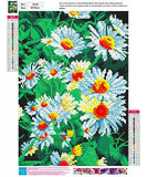 DIY 5D Diamond Painting Daisy Flower Kits for Adults Full Round Drill, Embroidery Paintings Pictures Arts Craft for Home Wall Decor Gift，Painting Dots Daisies Love