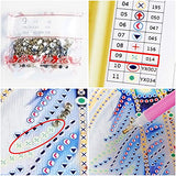CHUNXIA 3 Pack Diamond Painting Special Shaped Handicraft Needlework 3D Drill Mosaic DIY Diamond Embroidery(Without Frame)25X25cm XZH2525-003-004-007