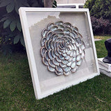 Coastal 24"x24" Natural Abalone Shell Flower Shape Wall Art with Shadow Box Framed Front Glass for Living Room Dining Room Entrance Corridor Bedroom Decoration