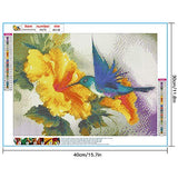 Ohok DIY 5D Diamond Painting Kits for Adults & Kids Flower and Bird Colorful Full Drill Round Diamond Crystal Gem Arts Painting Perfect for Home Wall Decor 12x16 inches