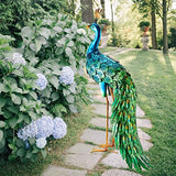 Peacock Statue Garden Decor Metal Peacock Yard Art Lawn Decoration