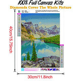 DIY 5D Tree Diamond Painting Kits for Adult, Casual Digital Painting Full Drill Combination- Arts and Crafts Indoor Wall Decorations (Lake and Mountain-B005)