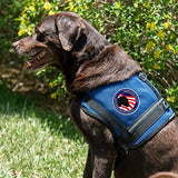 Service Dog Full Access Patch for Service Dog Vest or Harness