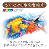 Set 144 10NC12P 12 colors Staedtler Noris Club watercolor pencil (japan import)