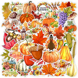 YUJUN 50 PCS Thanksgiving Stickers , Autumn Fall Pumpkin Turkey Maple Leaf Stickers Decals for Thanksgiving Water Bottles Luggage Cards Envelopes Scrapbook Laptop Gift Party Decoration for Kids Teens