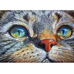 DIY 5D Diamond Painting Kit, Full Diamond Big-Eyed Cat Embroidery Rhinestone Cross Stitch Arts Craft Supply for Home Wall Decor 11.8x15.8 inch