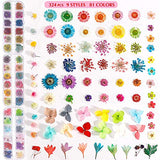 324PCS Dried Flowers Nail Art - Nail Art Accessories Kits, 81 Color Lovely Natural Nail Art, Dried Flowers for Resin Molds, YWLI