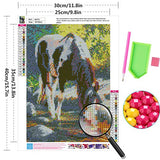 Cenda DIY 5D Diamond Painting Kits for Adults, Full Drill Embroidery Pictures Arts Crafts for Home Wall Decor Animals Horse 11.8x15.7Inch