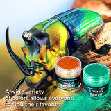 Chameleon Mica Powder – Epoxy Resin Color Pigment Powder - Color Shift Mica Powder - Epoxy Resin Pigment Powder 16 Colors Jars Set – Chameleon Powder - Holographic Mica Powder