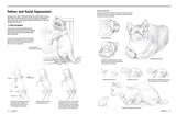 Drawing Animals 101: How to Draw with a Veterinarian's Eye