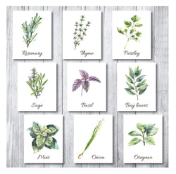 Botanical Prints Wall Decor - Kitchen Art Herbs Leaves Set UNFRAMED Pictures 9 PIECES Nature Floral herb Plant Flower Green Small Botanical Prints Wall Art Vintage Print Poster (White, 5x7)
