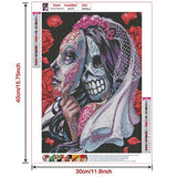 Sugar Skull Diamond Painting Kits for Adults, Halloween Diamond Art Kits, Paint with Diamonds Full Drill Round for Gift, Wall Decor (12 x 16 Inch) No.002