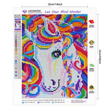 DIY 5D Unicorn Diamond Painting Kits for Adults, Round Full Drill Diamond Painting Art Perfect for Relaxation and Home Christmas Wall Decor 20X25cm