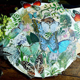 Doraking 50PCS Vintage Tropical Plants Butterfly Green Plants Stickers for Decoration Laptop Scrapbook, Doraking No-Repeat Vintage Butterfly Stickers