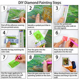 Aurora Sunset Diamond Painting Kits, DIY 5D Landscape Full Drill Diamond Art Crystal Rhinestone Embroidery Paintings Arts Craft for Christmas Home Wall Decor 11.8 X 15.7In